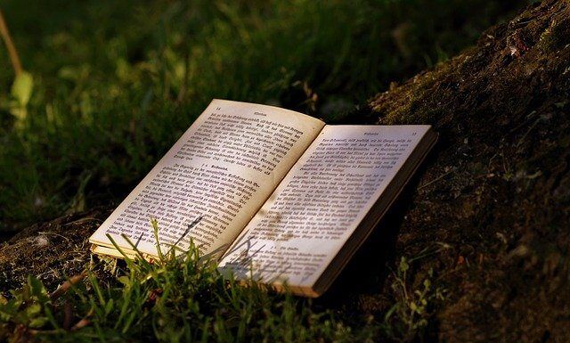 কিছু জার্মান বই যা আপনার অবশ্যই পড়া উচিত কিছু জার্মান বই যা আপনার অবশ্যই পড়া উচিত