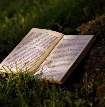 কিছু জার্মান বই যা আপনার অবশ্যই পড়া উচিত কিছু জার্মান বই যা আপনার অবশ্যই পড়া উচিত