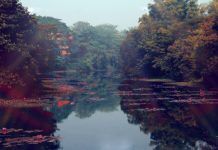 Discovering the Beauty of Bangladesh Discovering the Beauty of Bangladesh