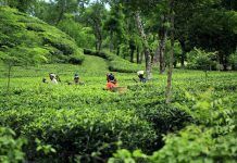 Willkommen in Bangladesch: Ihr Visum- und Reiseführer für eine reibungslose Reise Bangladesh travel guide